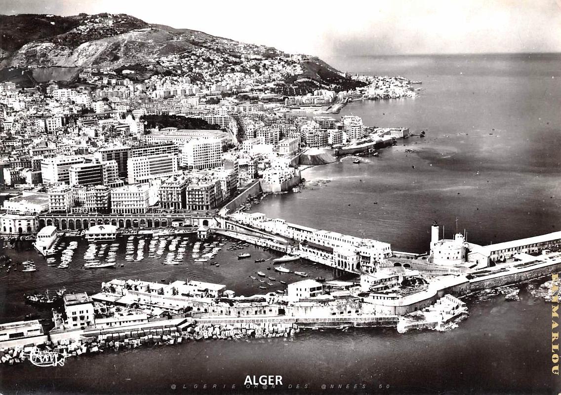Alger - rue de la republique .jpg